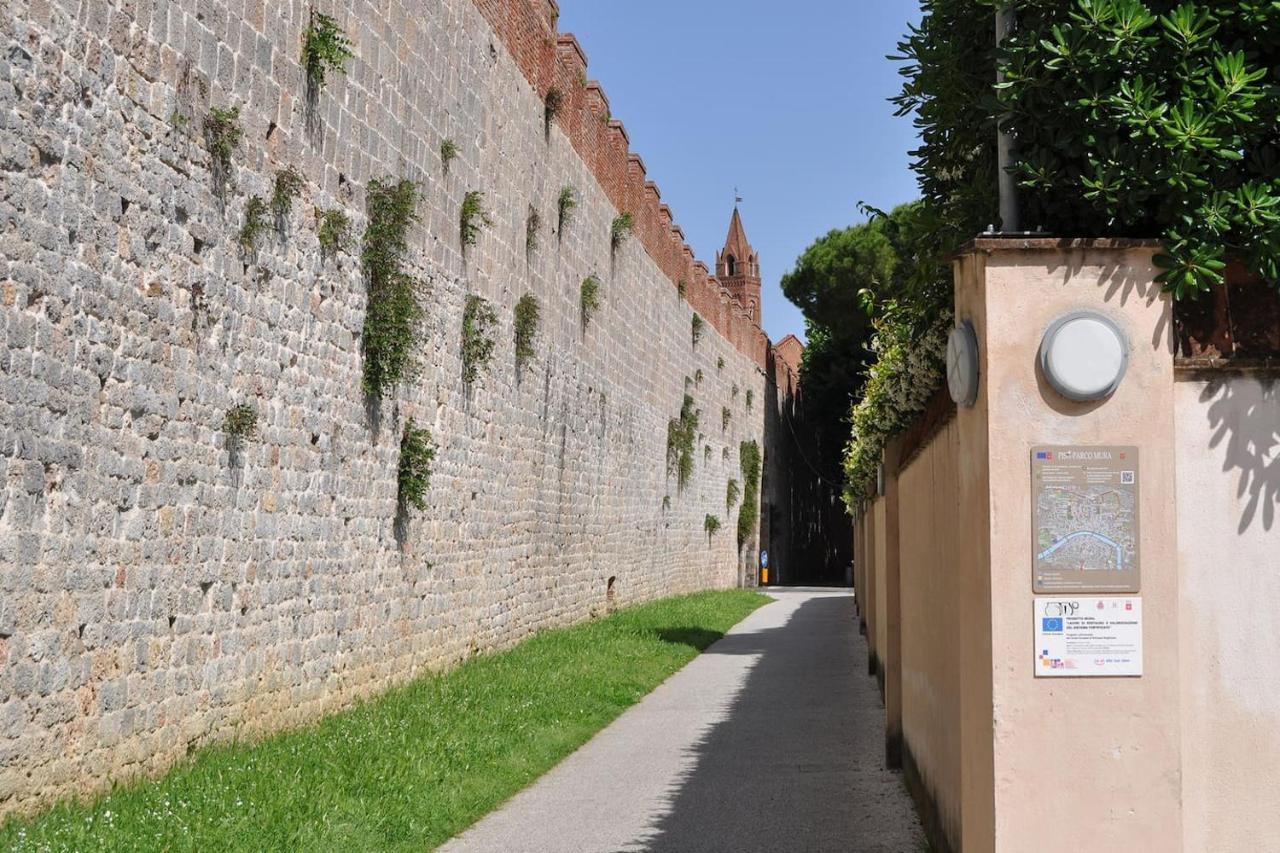 ピサLa Casa Di Dario, Dario'S House.アパートメント エクステリア 写真